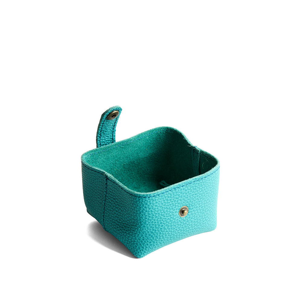 Portland Howler Pouch - Seafoam