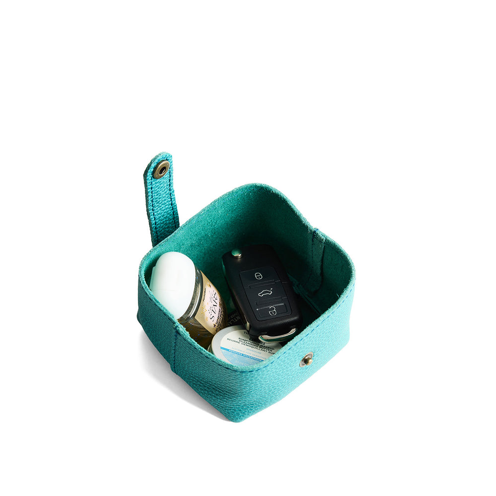 Portland Howler Pouch - Seafoam